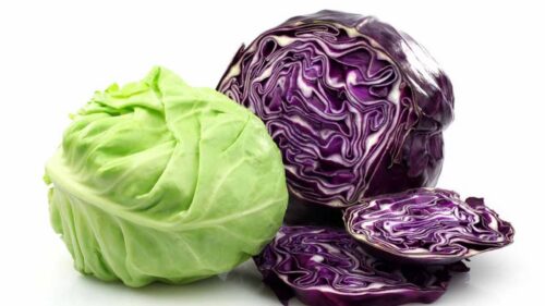Cabbages