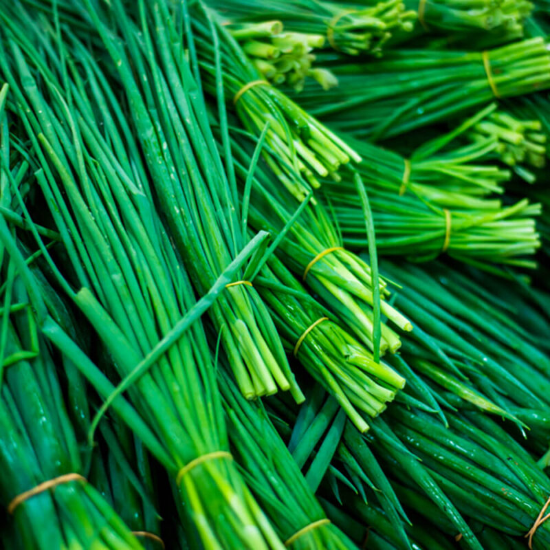 Fresh Chives